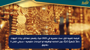 فرصة ذهبية لكل ست مصرية في 2025 حيث يضمن معاش ربات البيوت دخلاً شهريًا ثابتًا دون الحاجة لوظيفة أو إجراءات حكومية – سجلي خلال 5 دقائق
